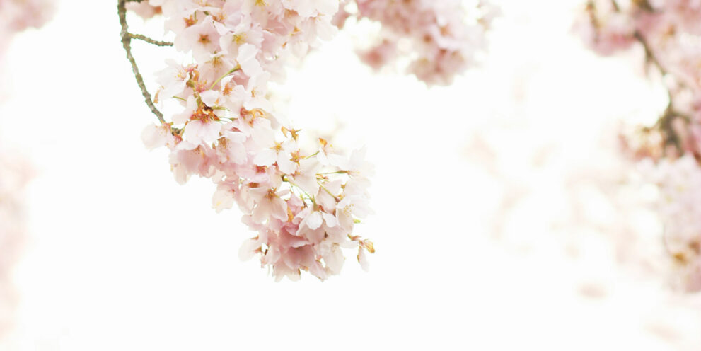 Links und Informationen